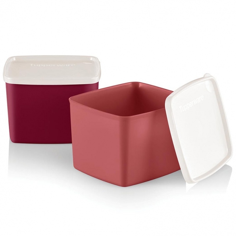 Contenants Tupperware carrés et ronds de taille moyenne : jusqu'à 30 % ...